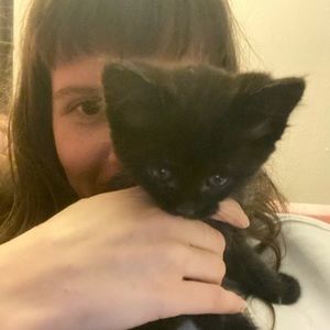 Meet your Posher, Bella